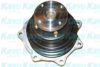 KAVO PARTS NW-2235 Water Pump